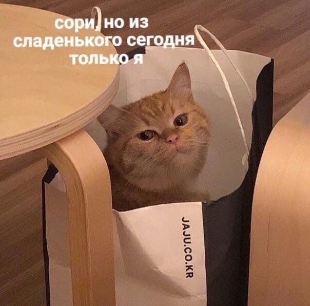 pCdJQ.jpg