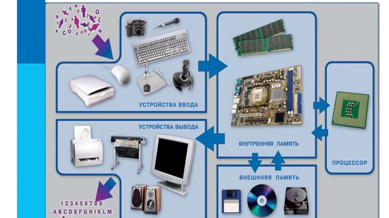 Назначение основных устройств компьютера 5 класс