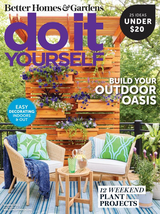 Do It Yourself - Vol. 29, Issue 3 - 2022 Summer1.jpg
