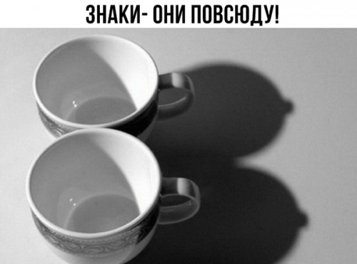 11887939.jpg