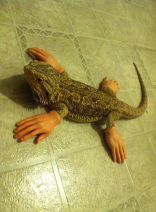 morning_picdump_686_640_39.jpg
