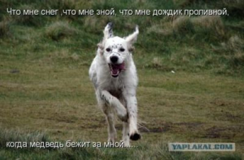 21a24cf5682dfbe57fc35cef831774d4.jpg