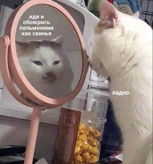 mqxmk.jpg