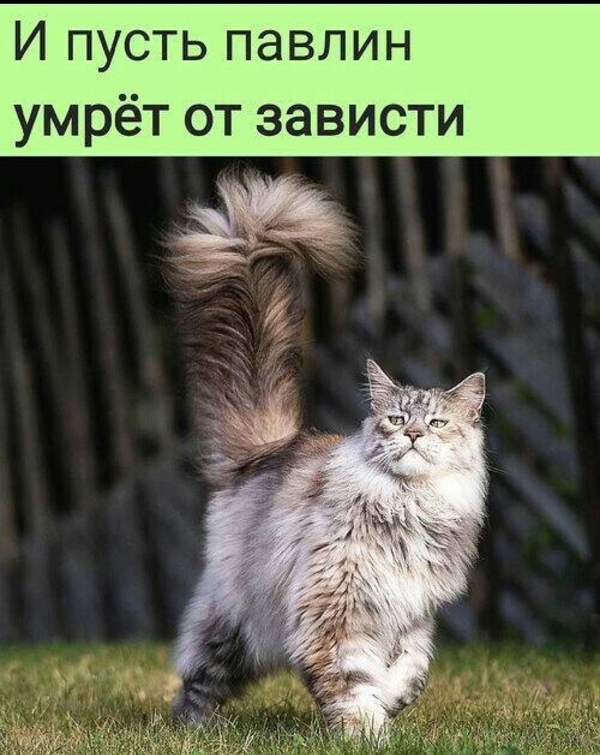 8xEXtMdTcd4.jpg