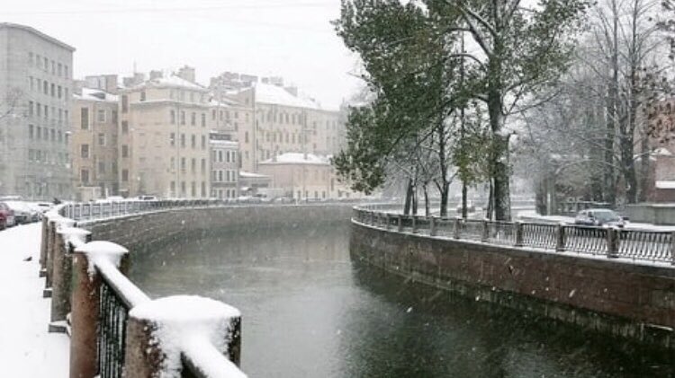 20221207_113247.jpg
