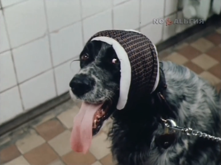 Prosto.uzhas.1982.WEBRip-AVC.ExKinoRay.mkv_snapshot_00.09.00.400.png