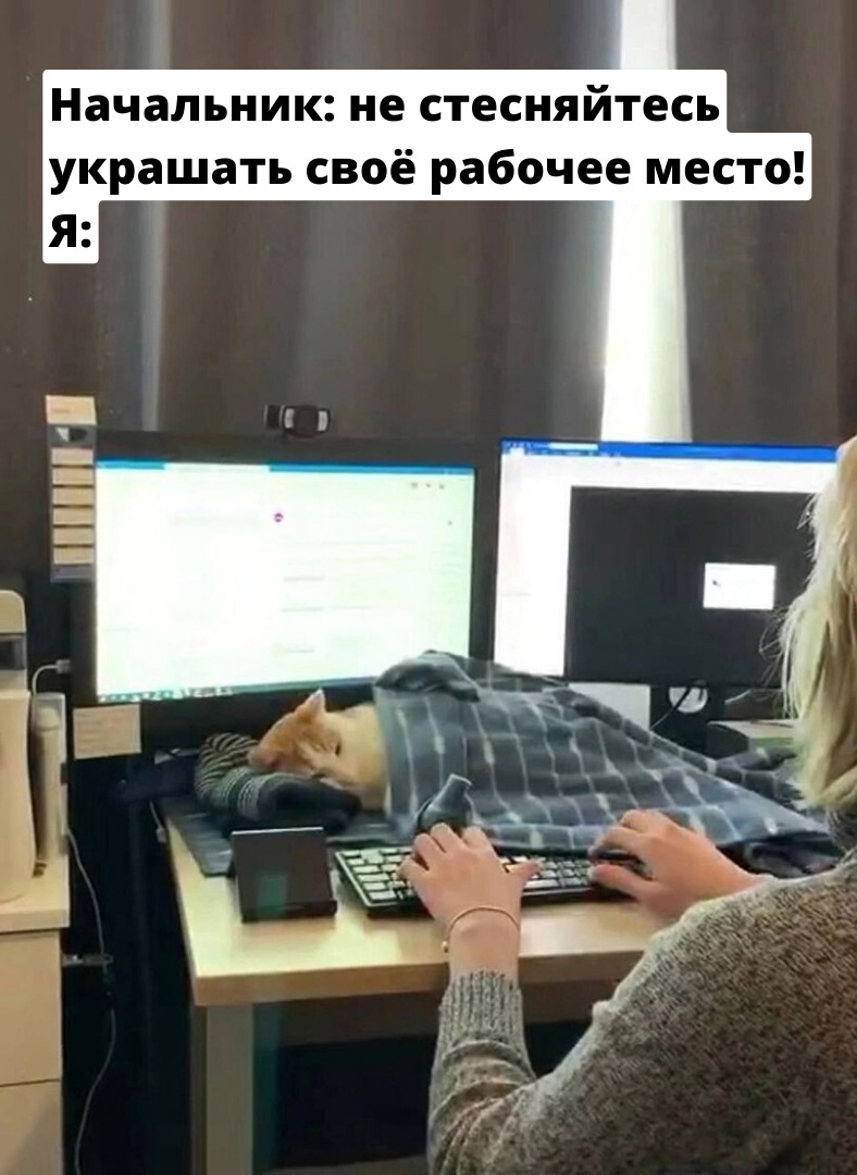 pGF36QGr0ffk.jpg
