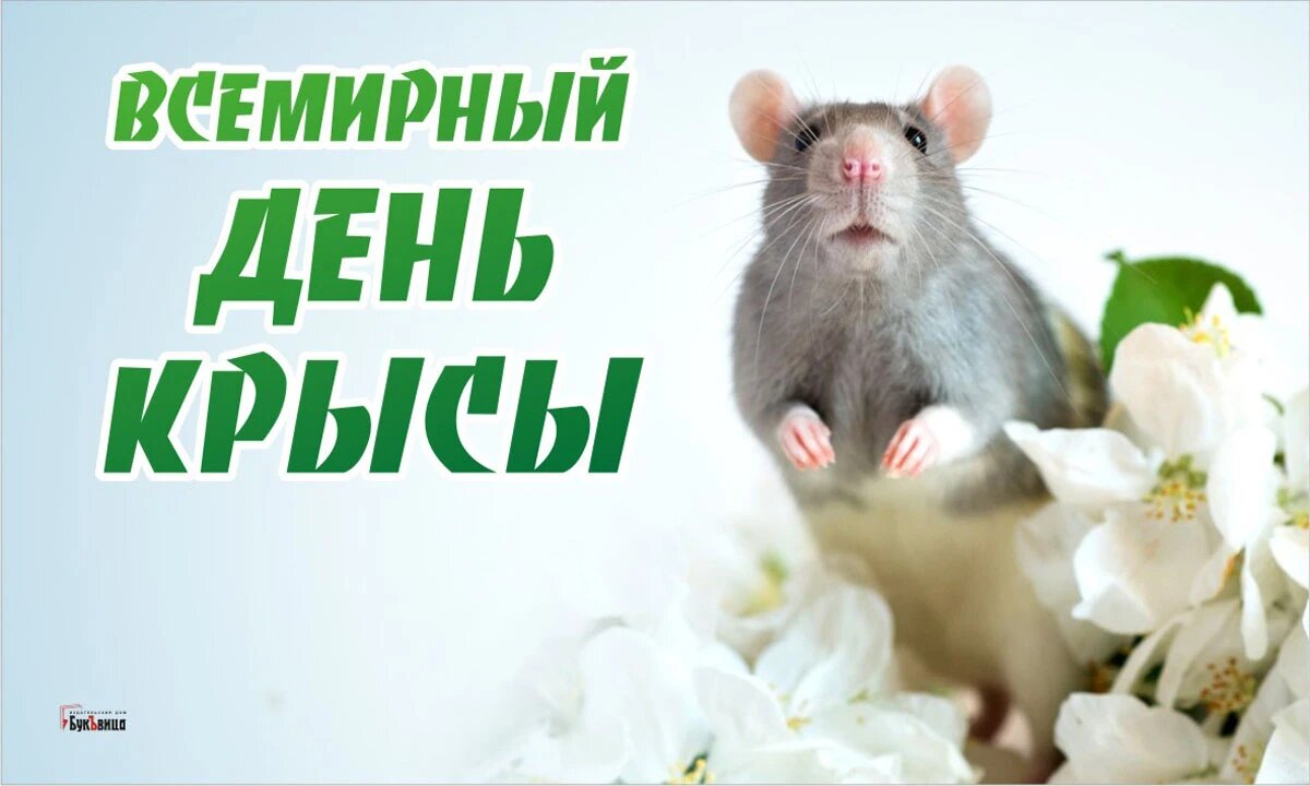 13_21_16_scale_1200.jpg