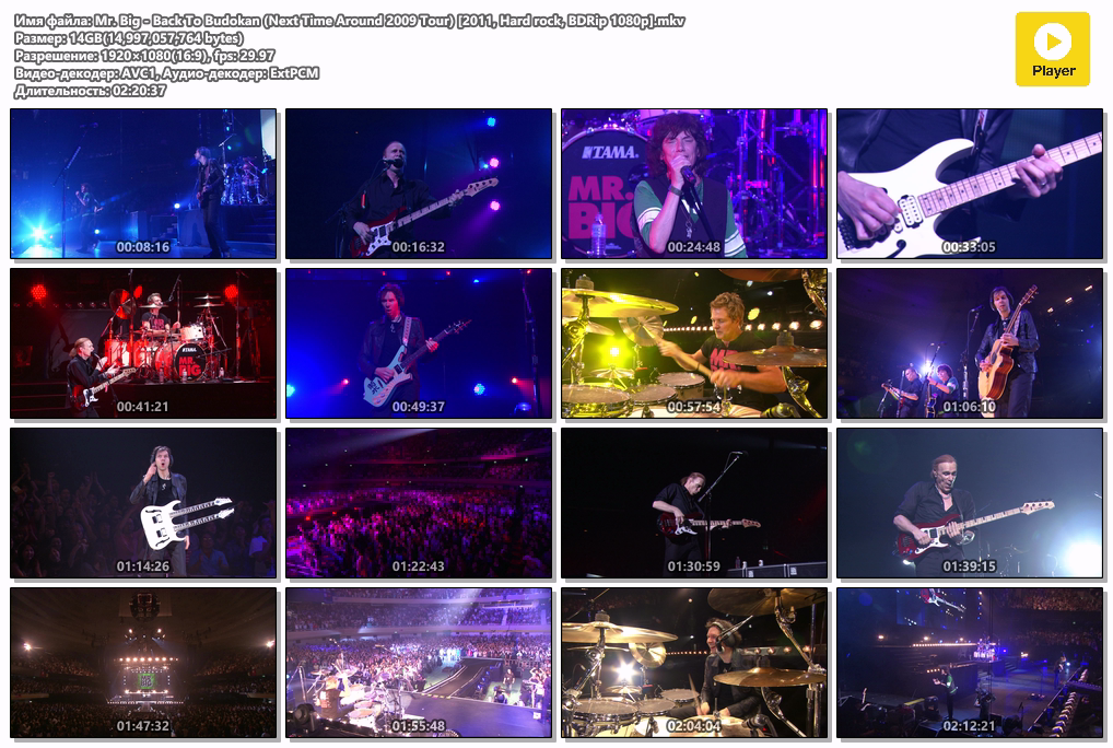 Mr. Big - Back To Budokan (Next Time Around 2009 Tour) [2011, Hard rock, BDRip 1080p].mkv.png