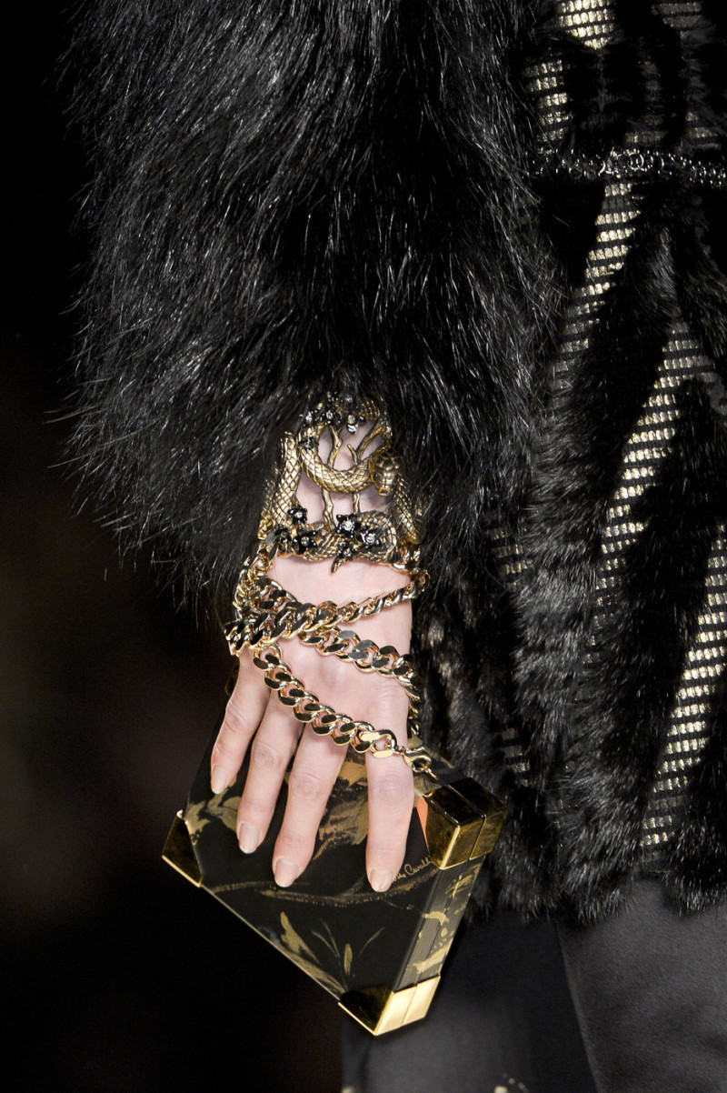 Roberto+Cavalli+Fall+2013+Details+L32pmSPGfOdx.jpg