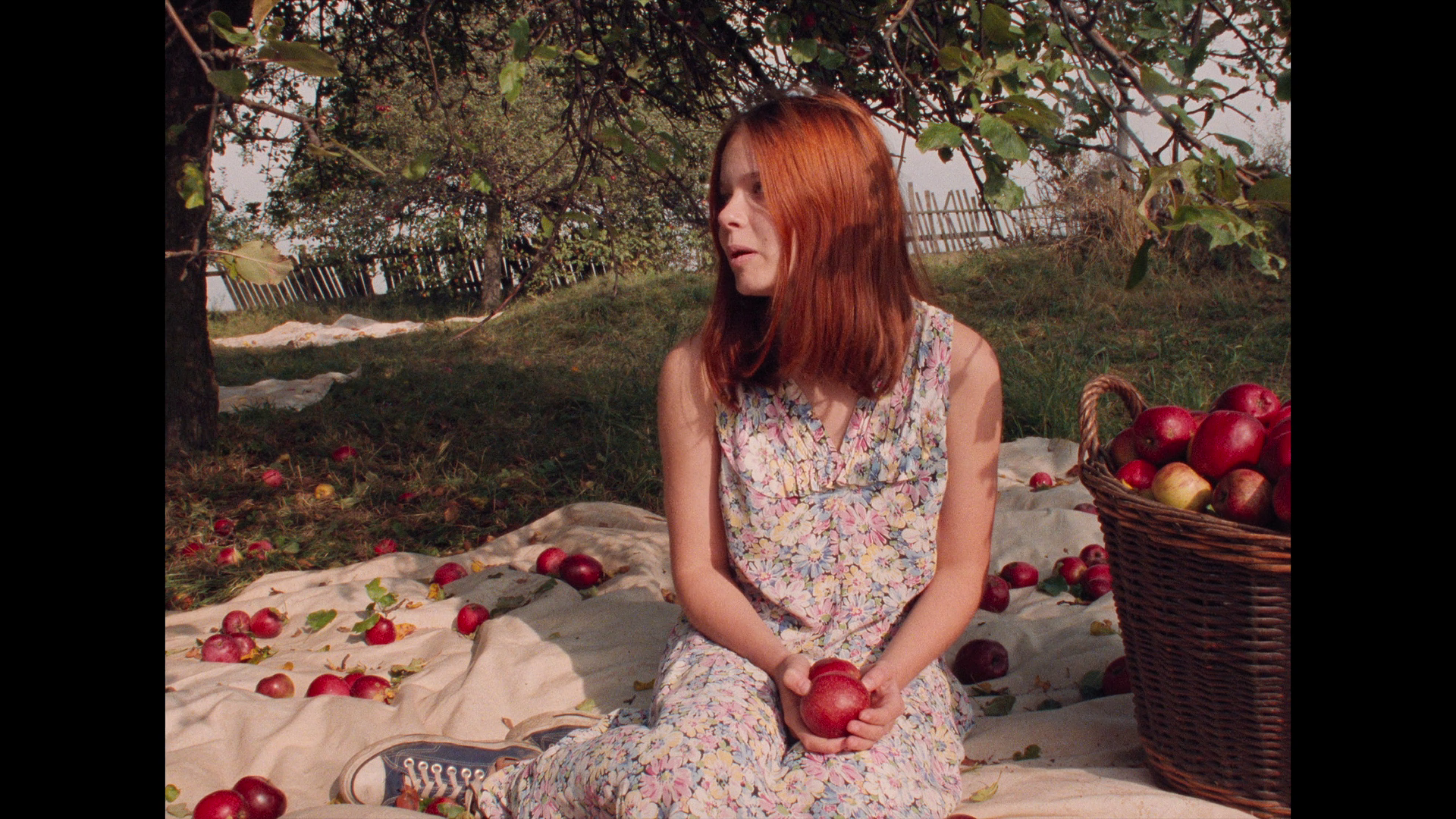 vlcsnap-2023-06-02-00h14m29s380.png