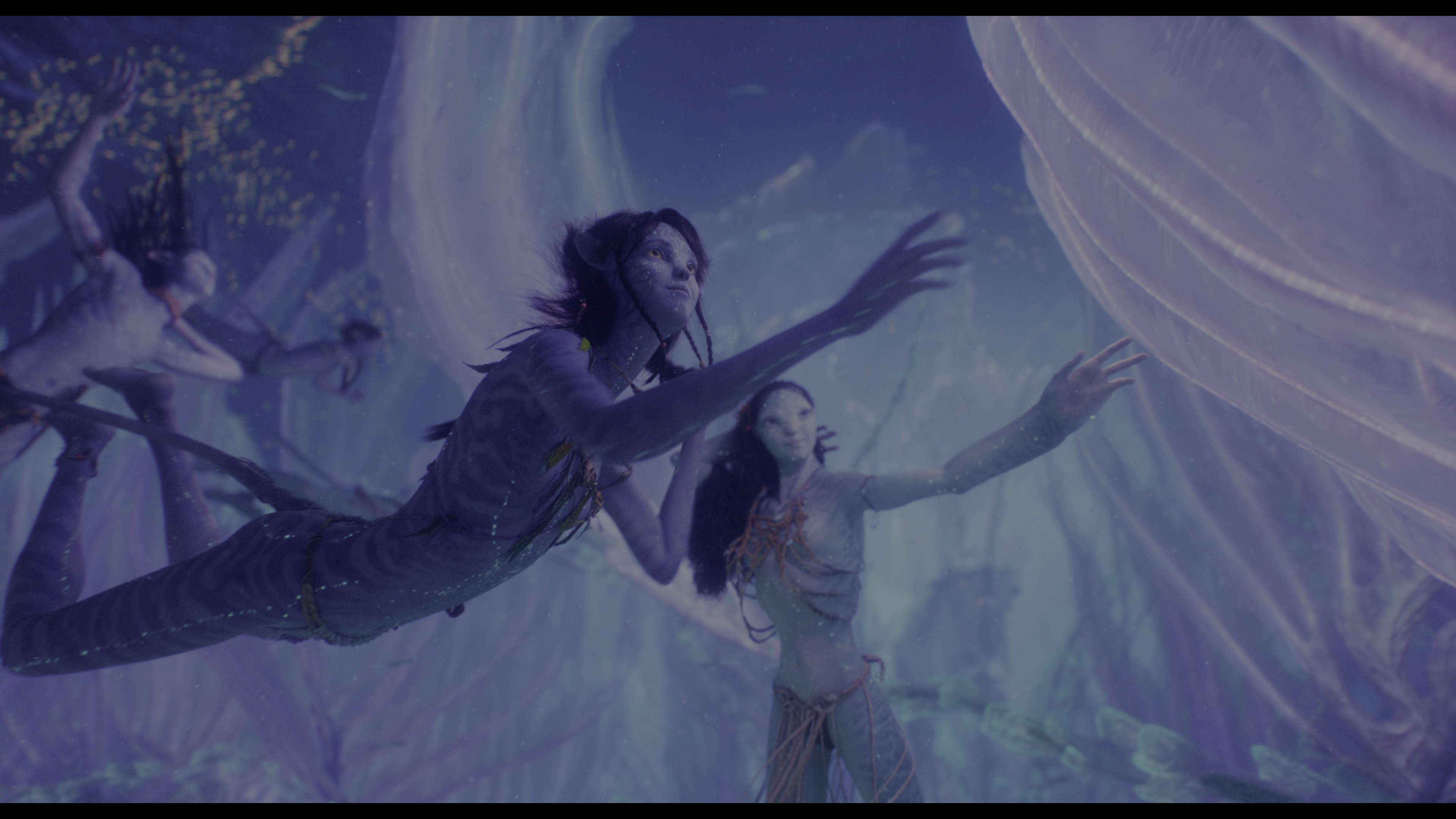 vlcsnap-2023-07-02-12h29m34s641.png