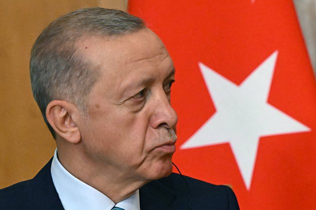 Эрдоган поручил изучить рынок Европы в рамках проекта газового хаба