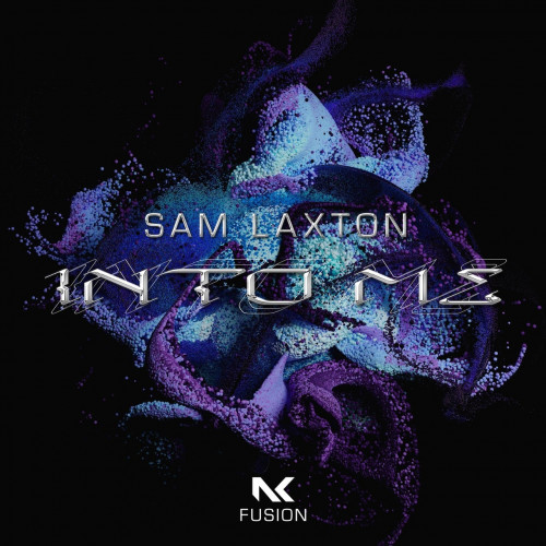 Sam Laxton - Into Me (Extended Mix).mp3