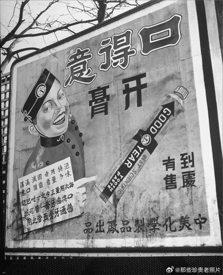 1948???????????????·?????????   202311286.jpg