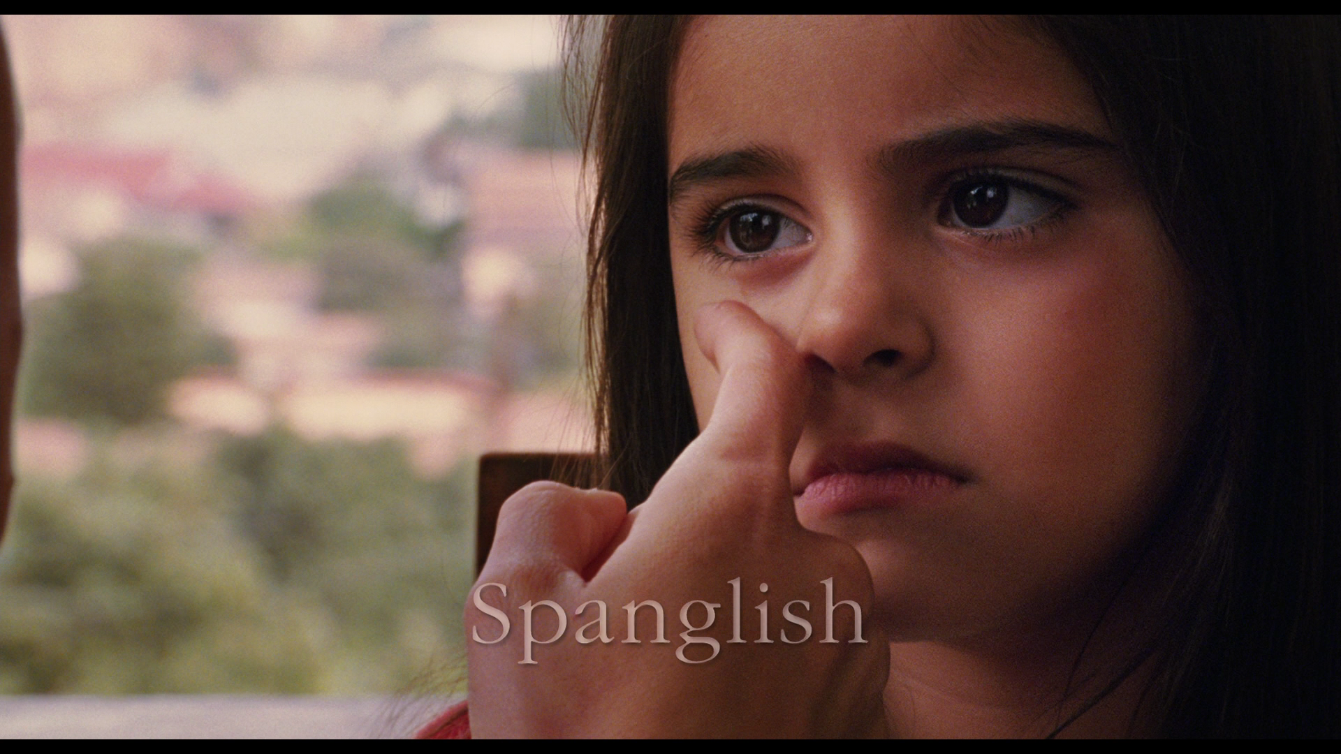 Spanglish.2004.Sony.Pictures.BDRemux.1080p[(003857)2023-11-30-10-52-33].PNG