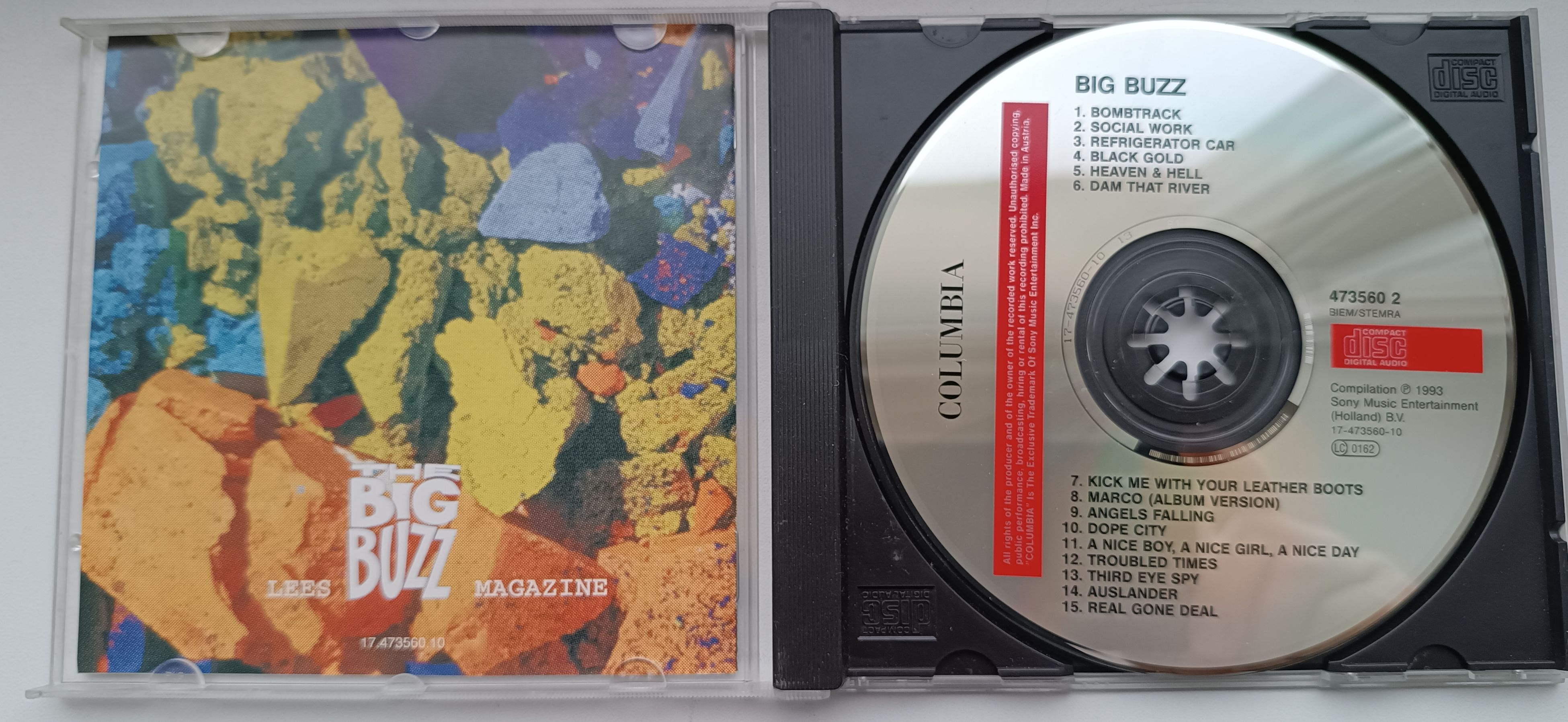 VARIOUS ARTISTS The Big Buzz 1.jpg