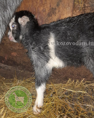 Сказка Oksana061.jpg