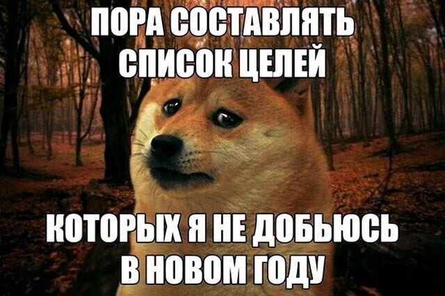 6tKidHWAUu0.jpg