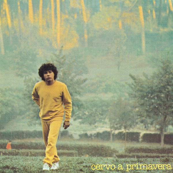 Riccardo Cocciante - Cervo A Primavera 1980 Pop Rock Flac 16-44 (192.3 MB) 3104ca89c71090c281c1bca996dd4999