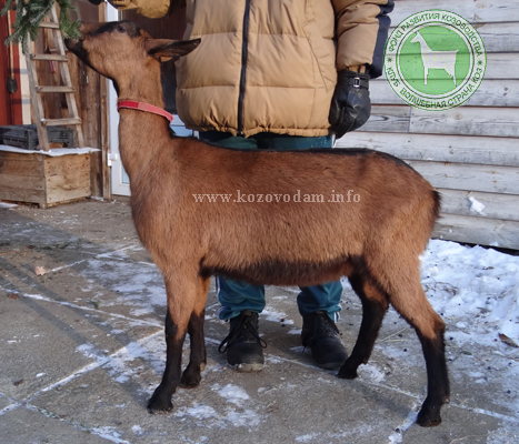 Абхазия 3 ЛПХ Смирновских.jpg