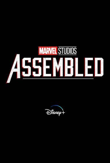 Marvel Studios Assembled S02E05 The Making Of Echo [720p] (x265) [6 CH] B893b313edfda4e07eb56edf2a0e5491