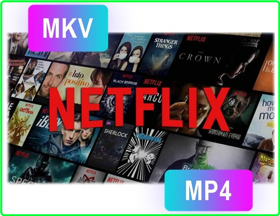 Pazu Netflix Video Downloader 1.6.6 Multilingual 07095506862356d7788cc1081027a945