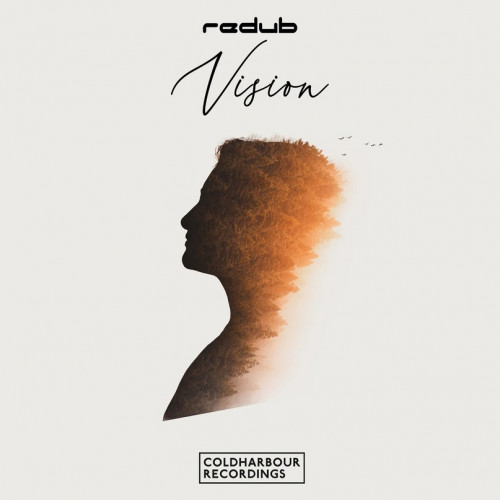 Redub - Vision (Extended Mix) .mp3
