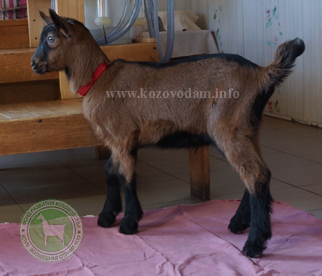Байкал 3 Раиса.JPG