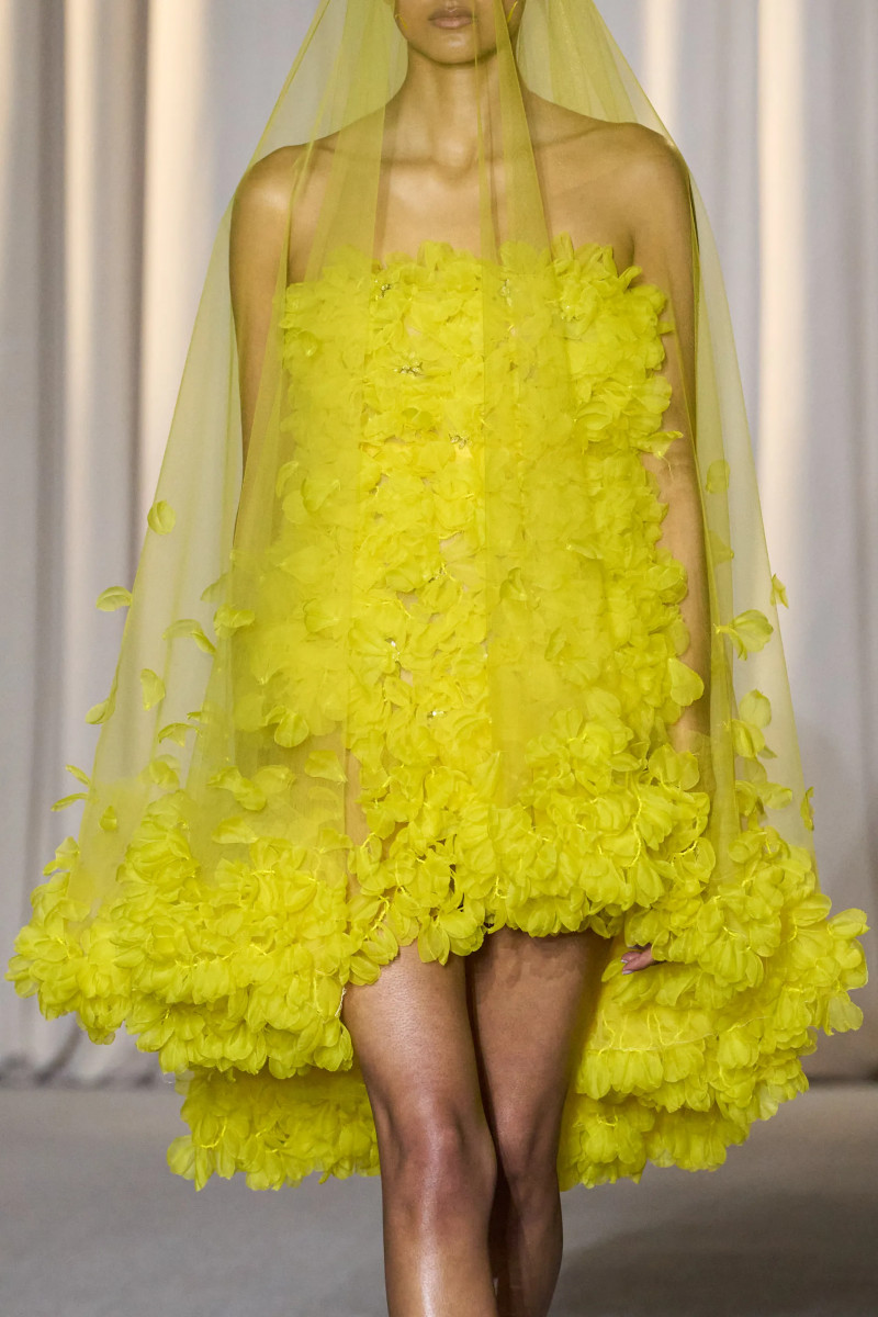 00012-giambattista-valli-fall-2024-couture-details-credit-gorunway.webp