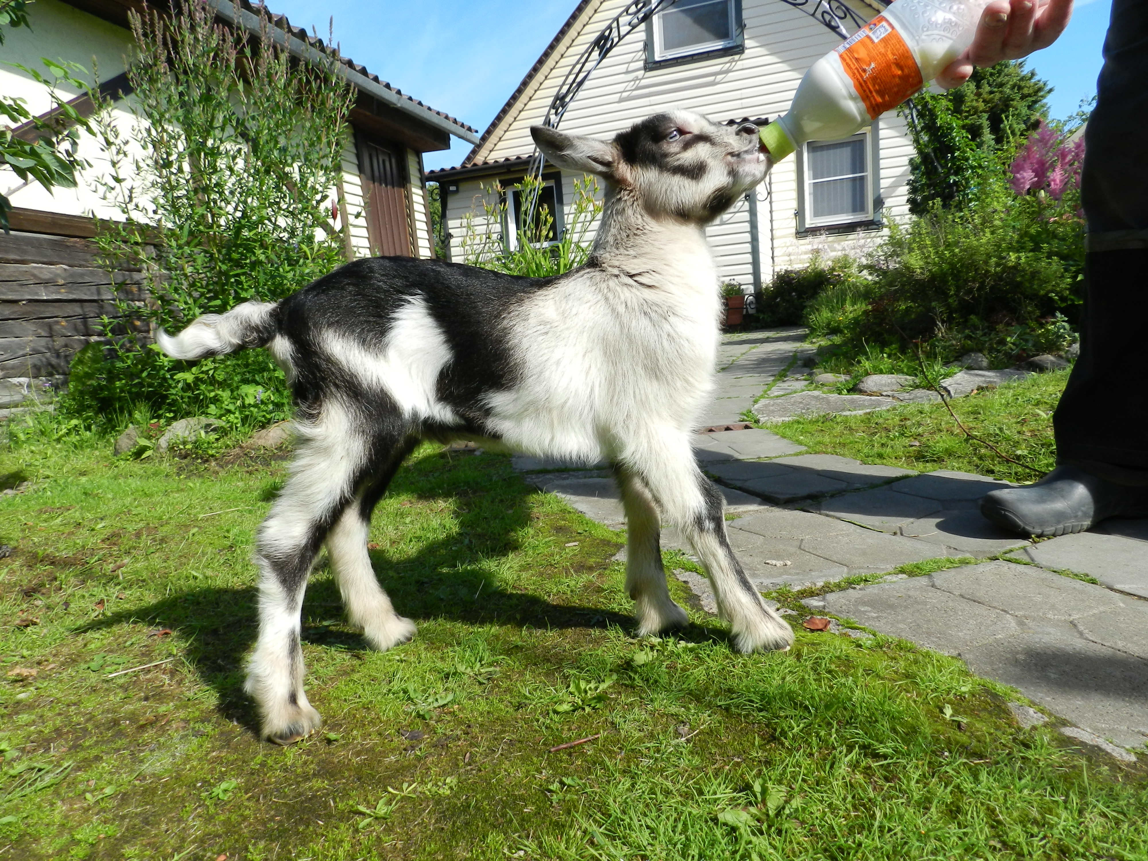 DSCN6281.JPG