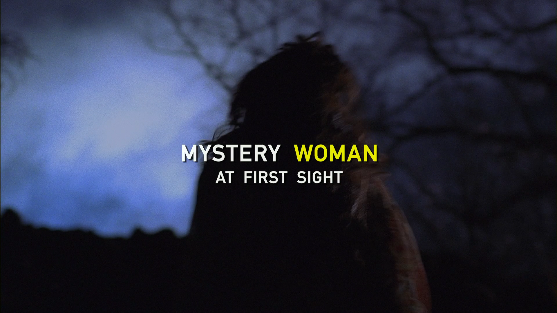 Mystery.Woman_06.At.First.Sight.2006.WEB-DL.1080p[(000824)2024-08-29-23-19-56].PNG