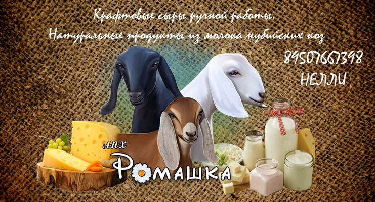 ЛПХ Ромашка 2.jpg