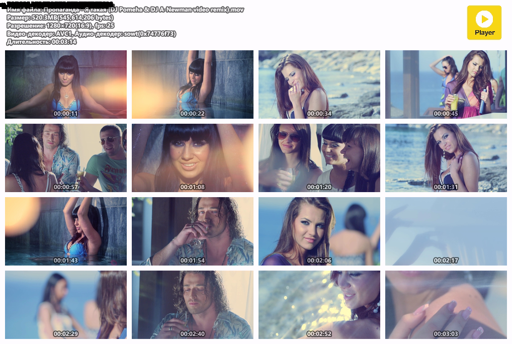 Пропаганда - Я такая (DJ Pomeha  DJ A-Newman video remix).mov.png