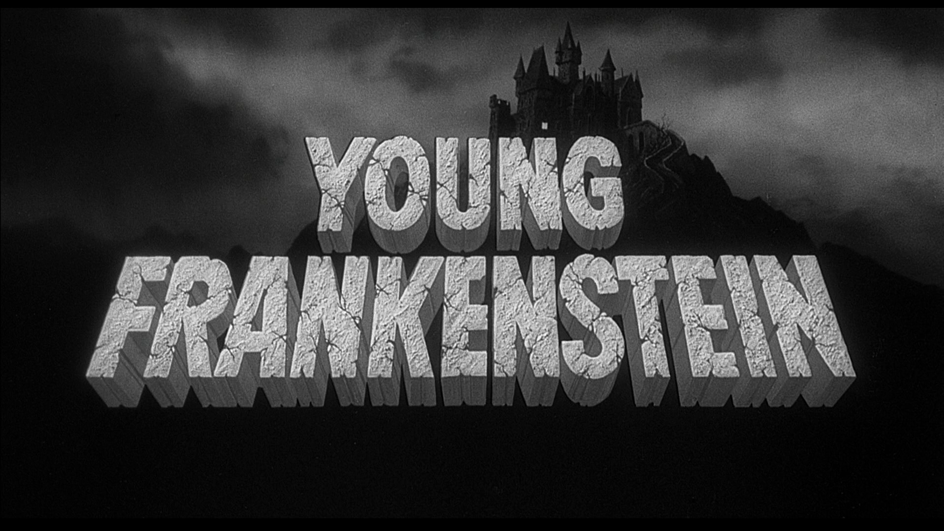 Young.Frankenstein.1974.20th.Century.Fox.BDRemux.1080p[(000736)2024-09-19-10-36-03].PNG