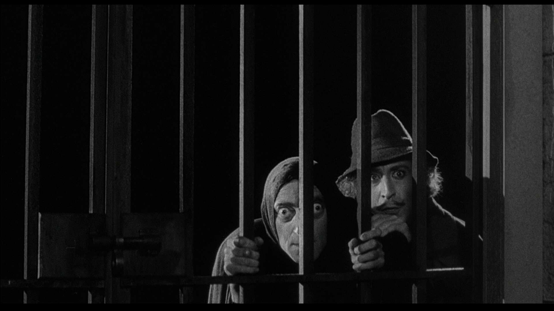 Young.Frankenstein.1974.20th.Century.Fox.BDRemux.1080p[(051792)2024-09-19-10-36-23].PNG