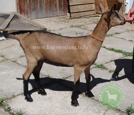 Анапа 2 ЛПХ Смирновских.jpg