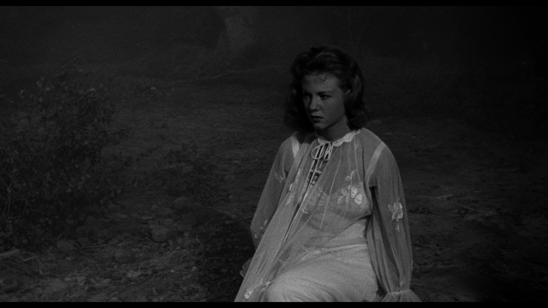 The.Thing.That.Couldn't.Die.1958.BDRemux.1080p.mkv_snapshot_00.39.43.865.png