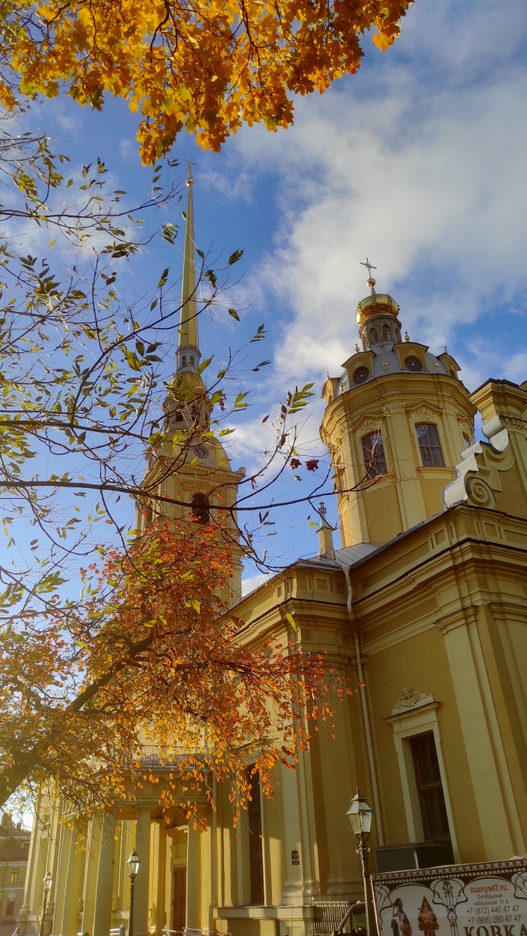 2024-10-23 16-11-27_1730786689.JPG