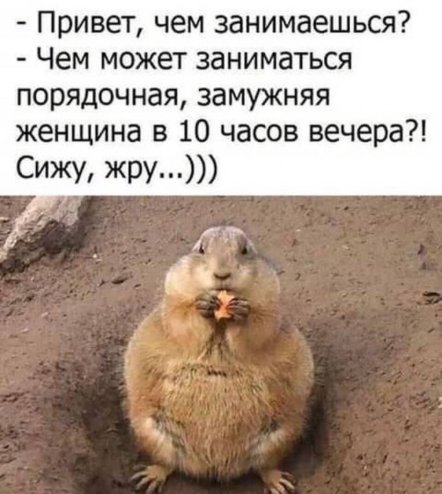 изображение_2024-11-26_184958344.png