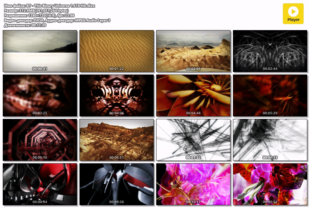 BT - This Binary Universe 1.618 HD.divx.png