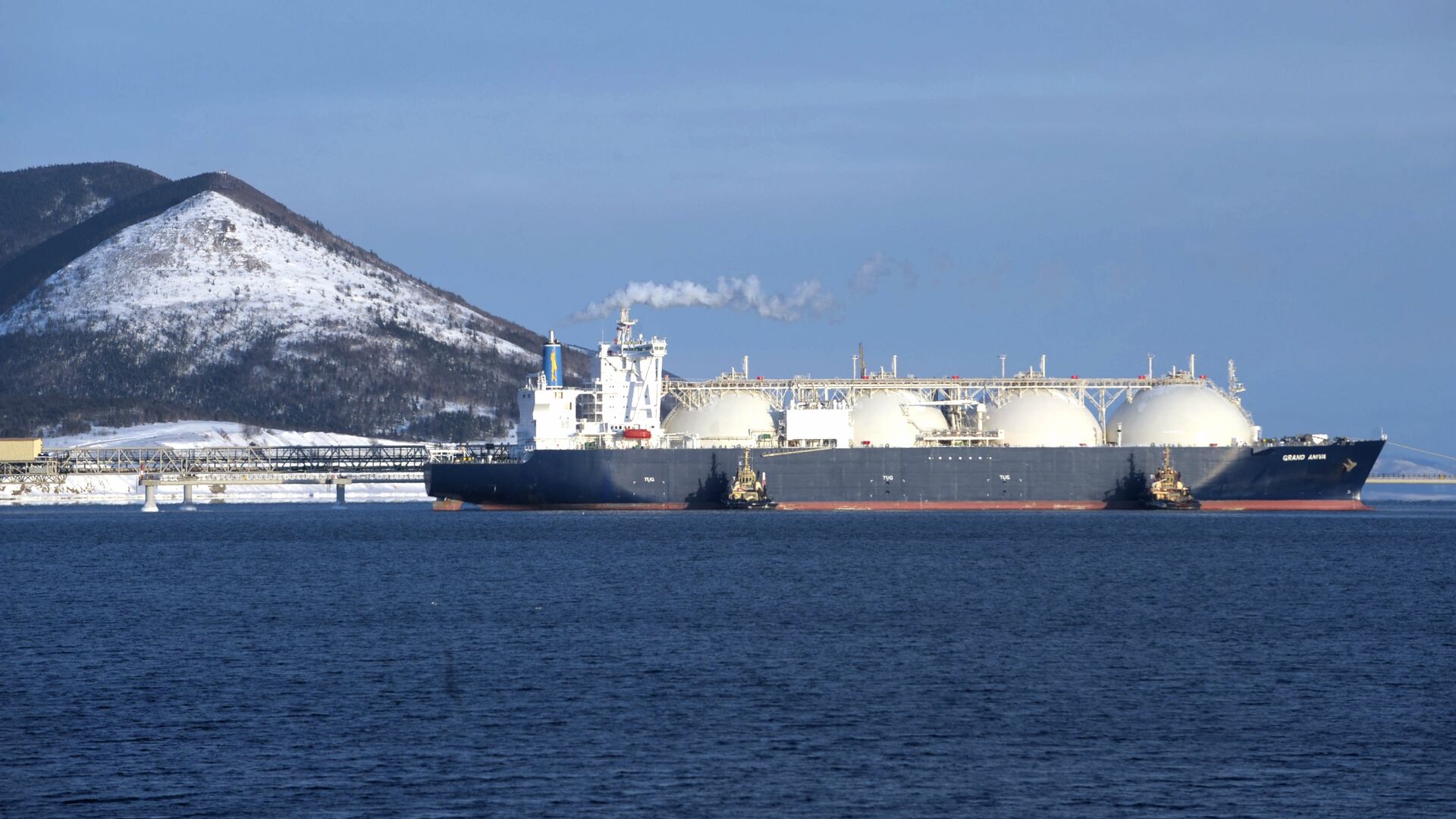 Россия и Катар обсудили усилия по защите интересов газовых экспортеров