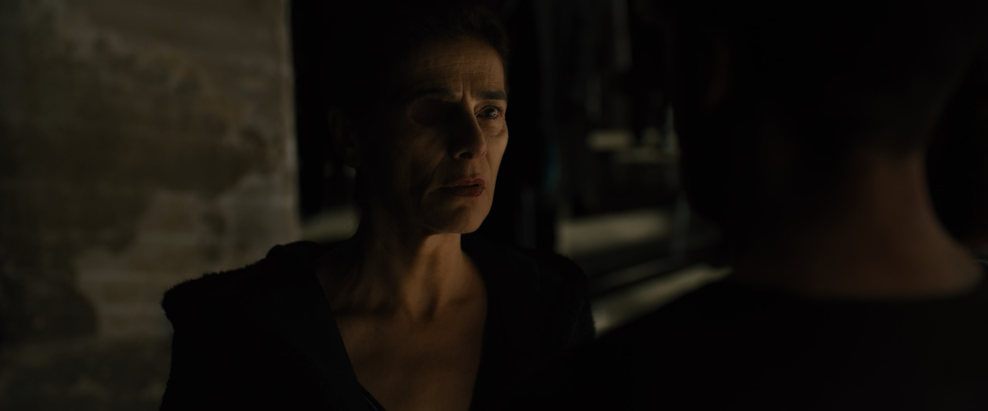 Blade Runner 2049 (2017) BDRip 2160p-NVENC 10 bit [HDR].mkv_snapshot_02.06.50.716.jpg