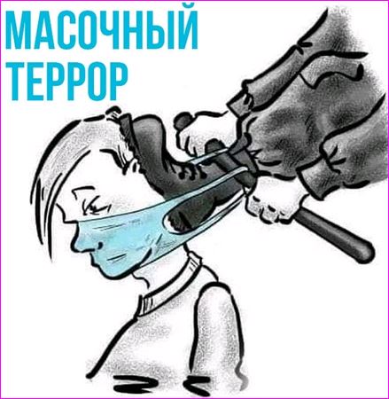https://i5.imageban.ru/out/2025/05/08/b2722c3b4018a3b55266cd4ef12e7f1e.jpg