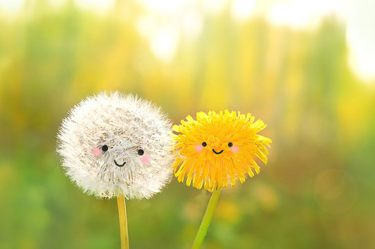https://i5.imageban.ru/out/2025/05/13/1b58457f67504f4c7da97b2f3c283159.jpeg