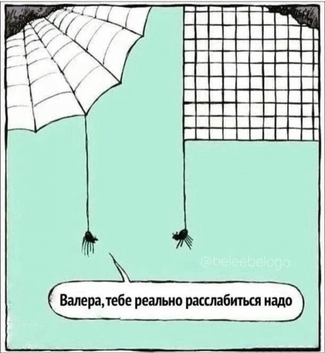 изображение_2025-05-21_161449897.png