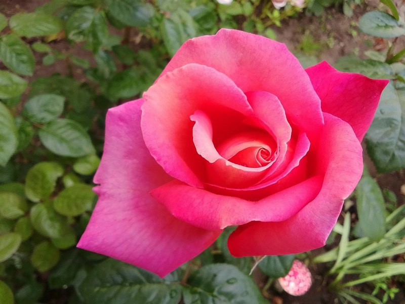 b1d923331651ceadf80a945cff064b0e.jpg