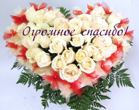 https://i5.imageban.ru/out/2025/06/24/a51efc59d27aa6218a0b3267ade8a399.jpeg