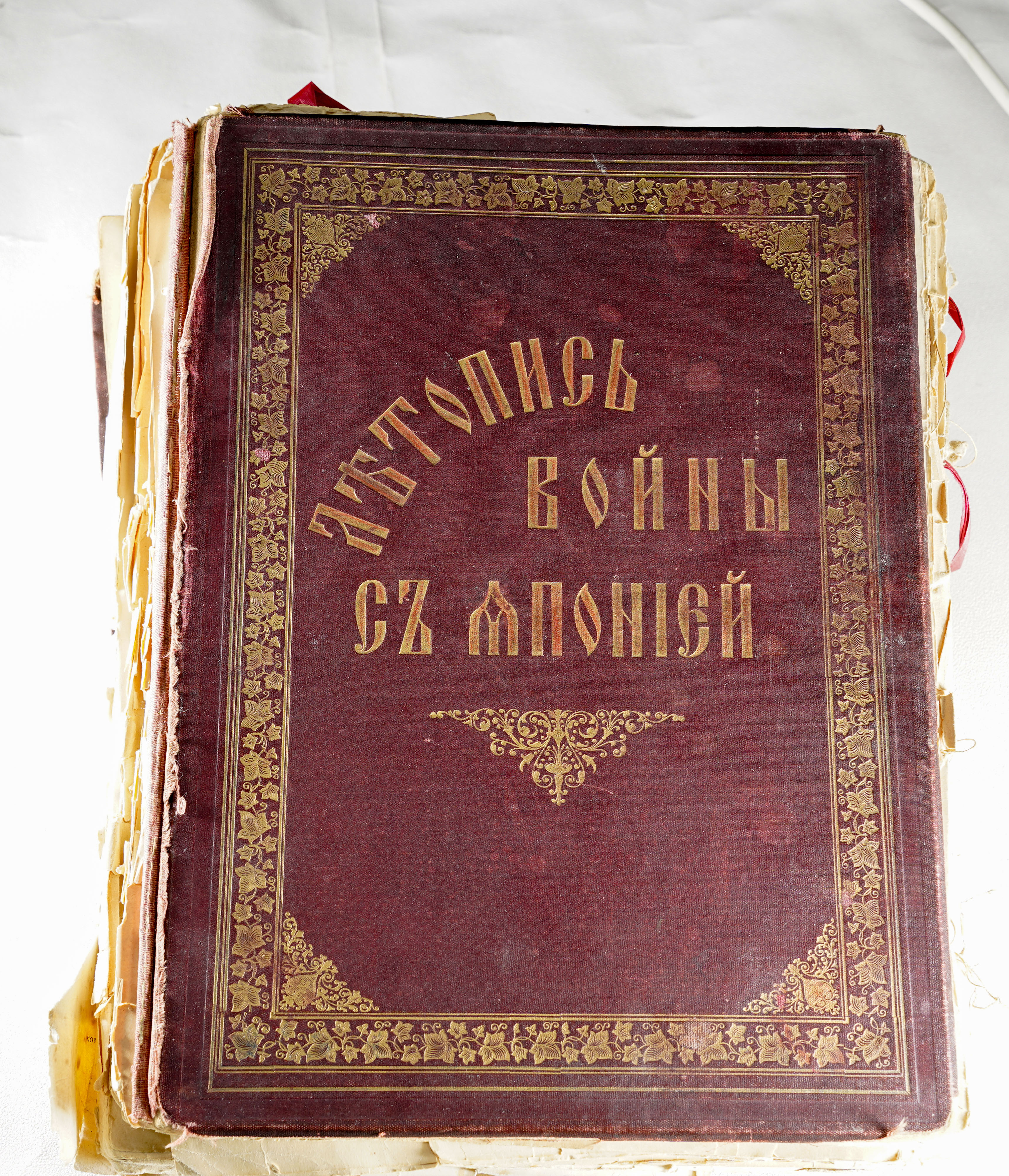https://i5.imageban.ru/out/2025/06/28/a5e7cc0bf36d5116059002685033199b.jpg