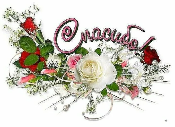 https://i5.imageban.ru/out/2025/06/30/c4631f229db41cf8bcb54a7d8165a41c.webp